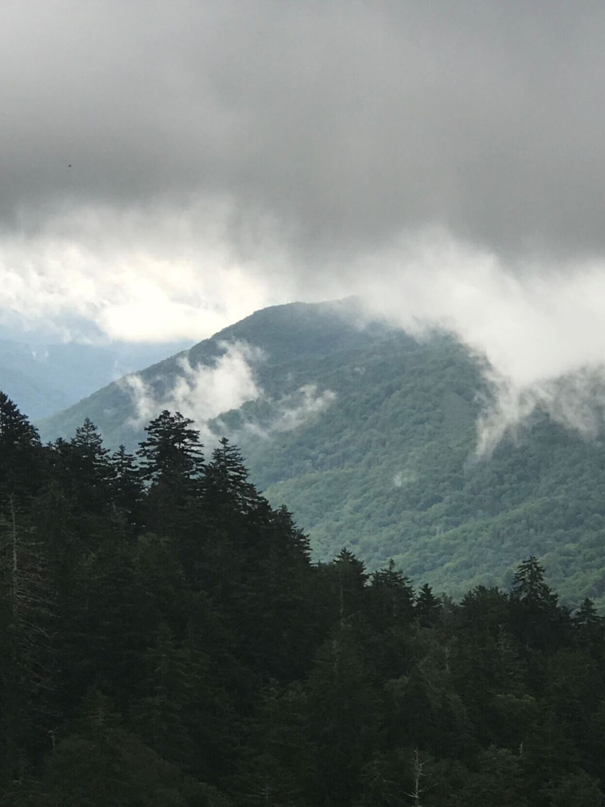 Great Smoky Mountains